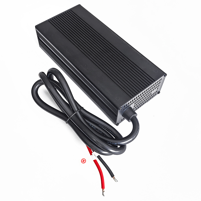 600W Charger 24V 15a 20a Battery Charger for AGM VRLA GEL Lead Acid Batteries Electrical Forklift Golf Cart Solar Energy Storage Battery