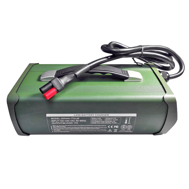 900W Special Charger 12V 35a 40a 45a 50a for Lead Acid Batteries RVS Other Motorcycles Solar Energy System Battery Pack
