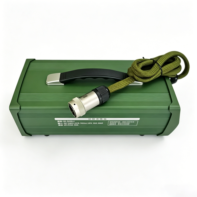 AC 220V 1500W Custom Charger 48V 20a 25a Battery Charger for Lead Acid Batteries Portable Power Station Energy Storage Battery