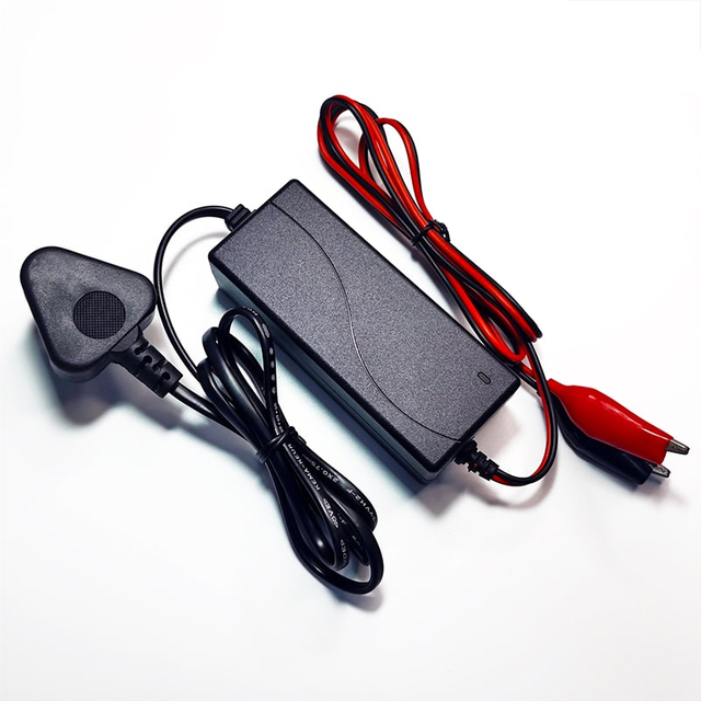 30W Battery Charger 12V 2a Charger for AGM VRLA GEL Lead Acid Batteries Solar Street Lights Led Emergency Lights Battery Packs