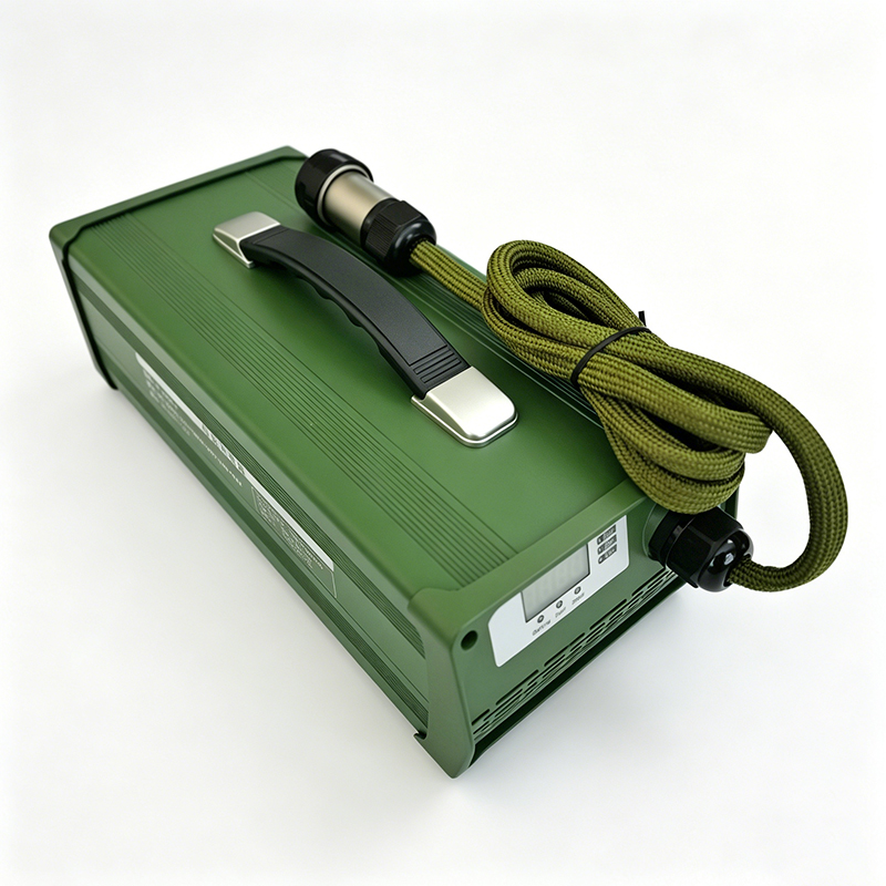 AC 220V 1500W Custom Charger 48V 20a 25a Battery Charger for Lead Acid Batteries Portable Power Station Energy Storage Battery