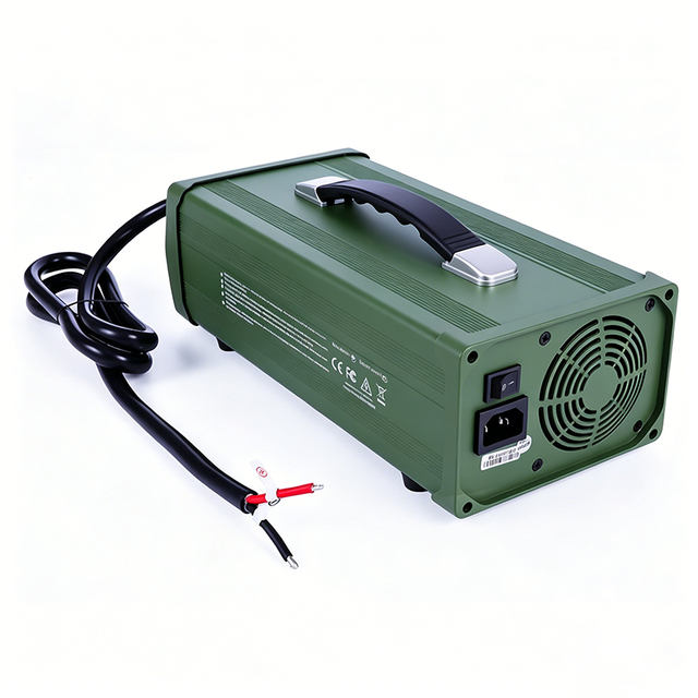 AC 220V 2200W Custom Charger 12V 65a 70a Lead Acid Charger for Robots Solar Energy System Energy Storage Battery Pack