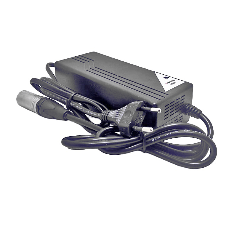 150W Battery Charger 24V 5a Charger for AGM VRLA GEL Electric Scooter Robot Electric Bicycle Lead Acid Batteries Packs