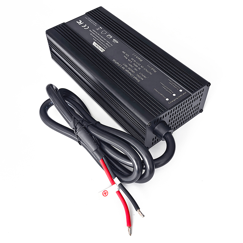 600W Charger 24V 15a 20a Battery Charger for AGM VRLA GEL Lead Acid Batteries Electrical Forklift Golf Cart Solar Energy Storage Battery