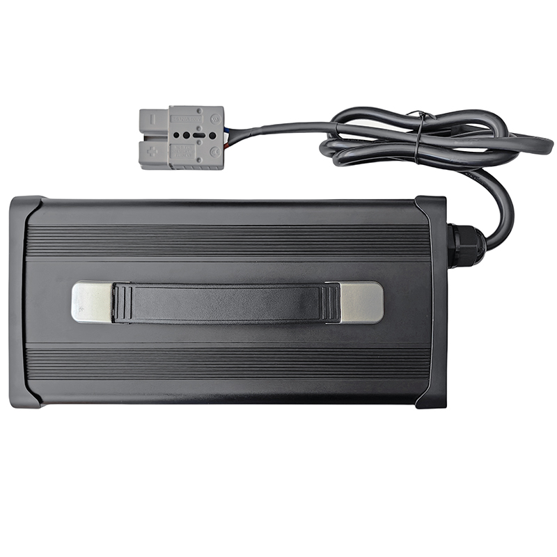 900W Battery Charger 60V 10a 12a for Lead Acid Batteries RVS Ride-on Cars Energy Storage Battery Packs