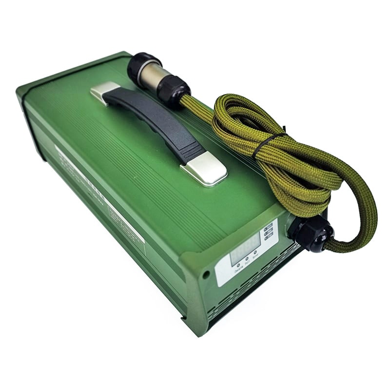 AC 220V 1500W Custom Charger 12V 50a 55a 60a for Lead Acid Batteries Portable Power Station Energy Storage Battery
